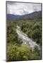 River running through cloud forest, Amazonia, Peru-Alex Hyde-Mounted Photographic Print