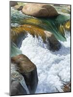 River's Rush-Stephen Stavast-Mounted Giclee Print