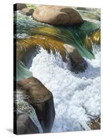 River's Rush-Stephen Stavast-Stretched Canvas