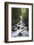 River Sarca, Genova Valley, Trentino, Italy, Europe-Lorenzo Mattei-Framed Photographic Print