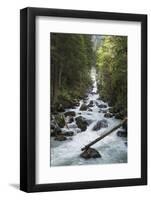 River Sarca, Genova Valley, Trentino, Italy, Europe-Lorenzo Mattei-Framed Photographic Print