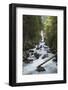 River Sarca, Genova Valley, Trentino, Italy, Europe-Lorenzo Mattei-Framed Photographic Print