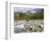 River Sarca. Val di Genova in the Parco Naturale Adamello, Brenta, Trentino, Italy, Val Rendena-Martin Zwick-Framed Photographic Print