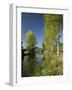 River Sarthe, Near Le Mans, Sarthe, Western Loire, Pays De La Loire, France-Michael Busselle-Framed Photographic Print