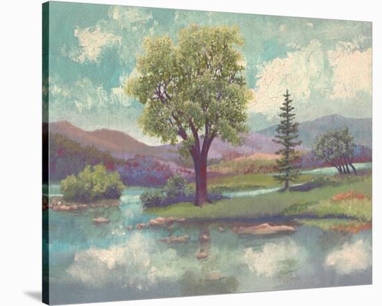 River Scape II-Victor Valla-Stretched Canvas