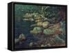 River Scene in Palazzuolo-Aleksandr Andreevich Ivanov-Framed Stretched Canvas