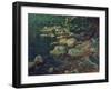 River Scene in Palazzuolo-Aleksandr Andreevich Ivanov-Framed Giclee Print