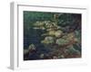 River Scene in Palazzuolo-Aleksandr Andreevich Ivanov-Framed Giclee Print