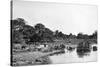 River Scene, Rio Corrientes, Paraguay, 1911-null-Stretched Canvas