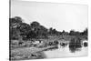 River Scene, Rio Corrientes, Paraguay, 1911-null-Stretched Canvas