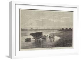 River Scenery in India, Sunset-null-Framed Giclee Print