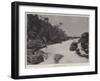 River Scenery in Madagascar-null-Framed Giclee Print