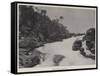 River Scenery in Madagascar-null-Framed Stretched Canvas