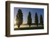 River Scenery, the Rhine, Trees, Nebulous Mood, Sunrise, Speyer, Rhineland-Palatinate, Germany-Ronald Wittek-Framed Premium Photographic Print