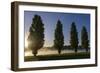 River Scenery, the Rhine, Trees, Nebulous Mood, Sunrise, Speyer, Rhineland-Palatinate, Germany-Ronald Wittek-Framed Photographic Print