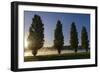 River Scenery, the Rhine, Trees, Nebulous Mood, Sunrise, Speyer, Rhineland-Palatinate, Germany-Ronald Wittek-Framed Photographic Print