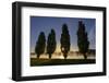 River Scenery, the Rhine, Trees, Nebulous Mood, Sunrise, Speyer, Rhineland-Palatinate, Germany-Ronald Wittek-Framed Premium Photographic Print