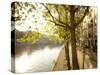 River Seine and Ile St. Louis, Paris, France-Jon Arnold-Stretched Canvas