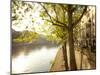 River Seine and Ile St. Louis, Paris, France-Jon Arnold-Mounted Photographic Print