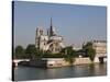 River Seine and Notre Dame Cathedral, Paris, France, Europe-Pitamitz Sergio-Stretched Canvas