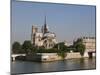 River Seine and Notre Dame Cathedral, Paris, France, Europe-Pitamitz Sergio-Mounted Photographic Print