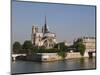 River Seine and Notre Dame Cathedral, Paris, France, Europe-Pitamitz Sergio-Mounted Photographic Print