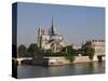River Seine and Notre Dame Cathedral, Paris, France, Europe-Pitamitz Sergio-Stretched Canvas