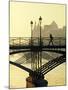 River Seine, Paris, France-Jon Arnold-Mounted Photographic Print