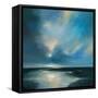 River Shadow-Joanne Parent-Framed Stretched Canvas