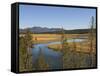 River Snaking Through the Meadows, Yellowstone National Park, Wyoming, USA-Tom Norring-Framed Stretched Canvas