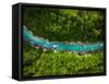 River Soca Cutting Trough Forest, Slovenia. Drone Photo.-Marcin Jucha-Framed Stretched Canvas