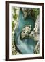 River Soca Flowing Through Velika Korita Showing Erosion, Triglav National Park, Slovenia, June-Zupanc-Framed Photographic Print