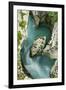 River Soca Flowing Through Velika Korita Showing Erosion, Triglav National Park, Slovenia, June-Zupanc-Framed Photographic Print