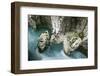 River Soca Flowing Through Velika Korita with Erosion in Rock Visible, Triglav Np, Slovenia, June-Zupanc-Framed Photographic Print