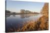 River Spey at Dawn in Spring, Cairngorms National Park, Scotland, March 2012-Peter Cairns-Stretched Canvas