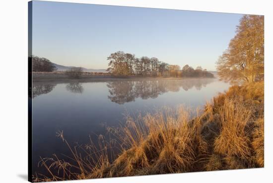 River Spey at Dawn in Spring, Cairngorms National Park, Scotland, March 2012-Peter Cairns-Stretched Canvas