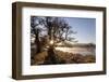 River Spey in Spring, Sun Rising Behind Trres, Cairngorms National Park, Scotland, March 2012-Peter Cairns-Framed Photographic Print