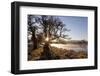 River Spey in Spring, Sun Rising Behind Trres, Cairngorms National Park, Scotland, March 2012-Peter Cairns-Framed Photographic Print