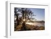 River Spey in Spring, Sun Rising Behind Trres, Cairngorms National Park, Scotland, March 2012-Peter Cairns-Framed Photographic Print