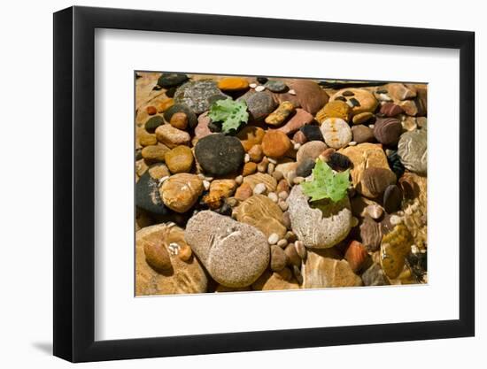 River Stones-Steve Gadomski-Framed Photographic Print