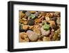 River Stones-Steve Gadomski-Framed Photographic Print