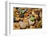 River Stones-Steve Gadomski-Framed Photographic Print