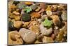 River Stones-Steve Gadomski-Mounted Photographic Print