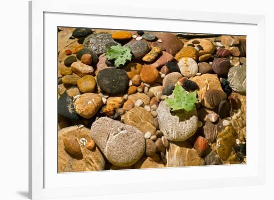 River Stones-Steve Gadomski-Framed Photographic Print