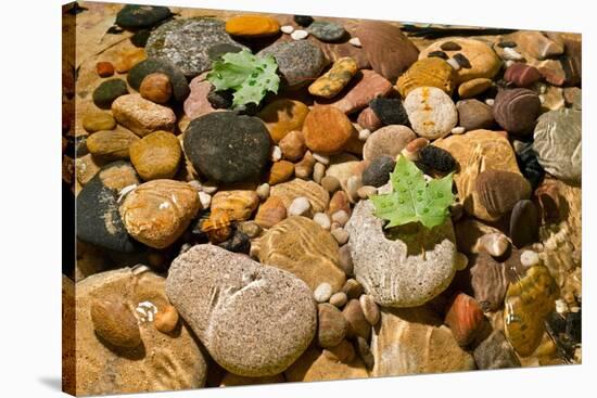 River Stones-Steve Gadomski-Stretched Canvas