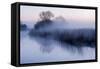 River Stour with Early Morning Mist and Frost, Near Wimborne Minster, Dorset, UK. April 2012-Ross Hoddinott-Framed Stretched Canvas
