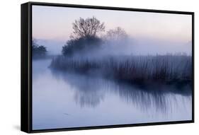 River Stour with Early Morning Mist and Frost, Near Wimborne Minster, Dorset, UK. April 2012-Ross Hoddinott-Framed Stretched Canvas