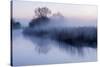 River Stour with Early Morning Mist and Frost, Near Wimborne Minster, Dorset, UK. April 2012-Ross Hoddinott-Stretched Canvas