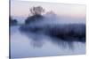 River Stour with Early Morning Mist and Frost, Near Wimborne Minster, Dorset, UK. April 2012-Ross Hoddinott-Stretched Canvas