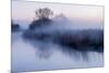 River Stour with Early Morning Mist and Frost, Near Wimborne Minster, Dorset, UK. April 2012-Ross Hoddinott-Mounted Photographic Print